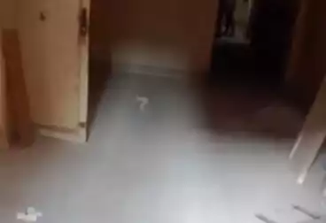 شقق للبيع - 3 غرف - بالدور 4