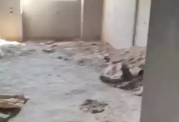 undefined undefined - 3 rooms - floor 8