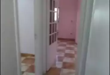 شقق للبيع - 3 غرف - بالدور 5