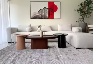 Serviced Apartments For rent - 2 rooms - floor 2