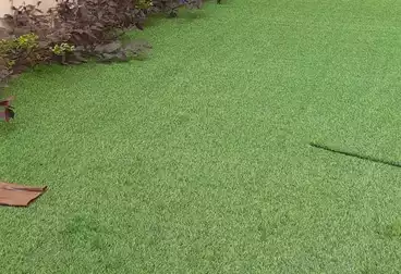 دوبلكس للإيجار - 4 غرف - بالدور 0