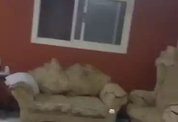 عقارات للبيع - 2 غرف - بالدور 2