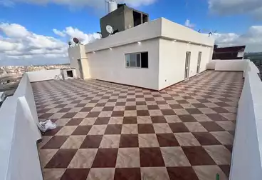 undefined undefined - 3 rooms - floor 16