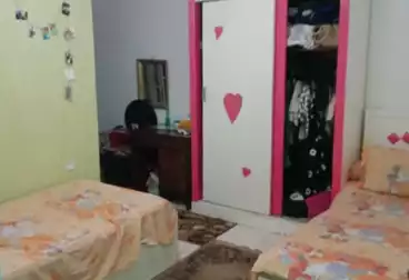 شقق للبيع - 3 غرف - بالدور 1