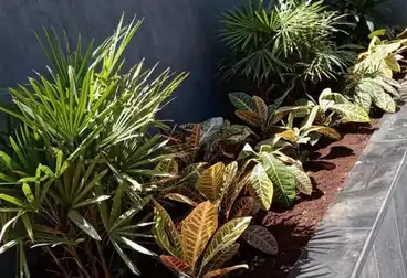 شقق للبيع - 2 غرف - بالدور 1