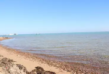 undefined undefined - 1 rooms - floor 1