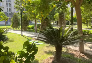 undefined undefined - 3 rooms - floor 1