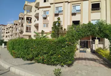 شقق للبيع - 3 غرف - بالدور 1