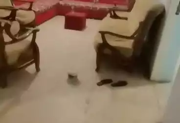 شقق للبيع - 2 غرف - بالدور 4