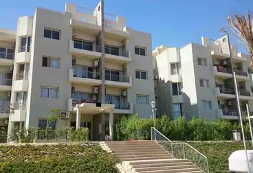 عقارات للإيجار - 3 غرف - بالدور 2