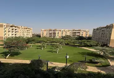 شقق للبيع - 2 غرف - بالدور 2