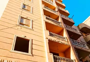 عقارات للإيجار - 3 غرف - بالدور 5