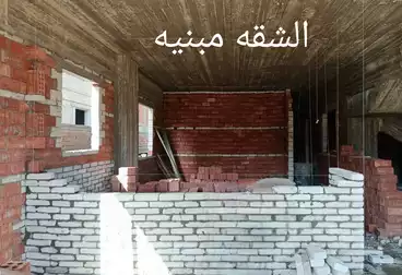 undefined undefined - 3 rooms - floor 1