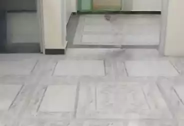 Administrative For rent - 2 rooms - floor 1