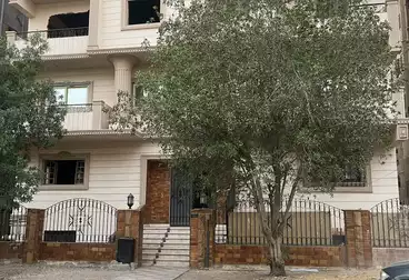 شقق للبيع - 5 غرف - بالدور 1