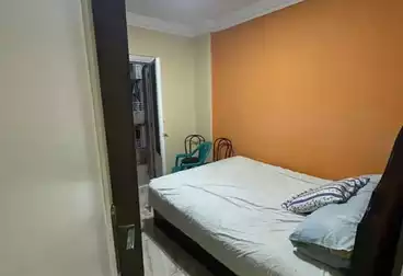 عقارات للإيجار - 3 غرف - بالدور 6