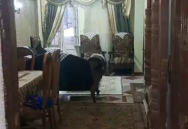 Building For sale - 2 rooms