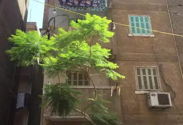 منزل / بيت للبيع - 2 غرف