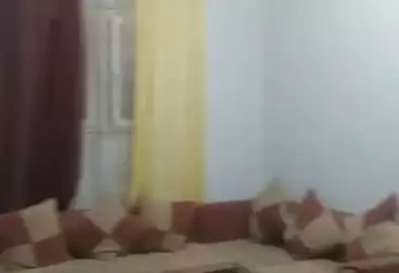 عقارات للإيجار - 2 غرف - بالدور 0