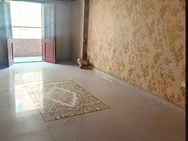 Apartments For rent - 2 rooms - floor 11