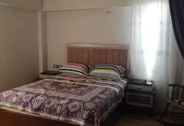 شقق مفروشة للإيجار - 2 غرف - بالدور 3