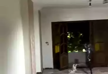 Apartments For rent - 3 rooms - floor 1