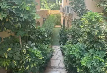 شقق للإيجار - 6 غرف - بالدور 1