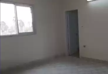 Apartments For rent - 3 rooms - floor 2