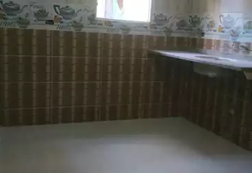 شقق للبيع - 4 غرف - بالدور 1