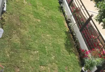 Duplex For rent - 3 rooms - floor 1