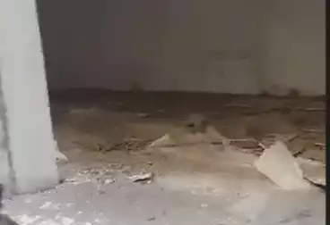 Commercial For sale - floor 0