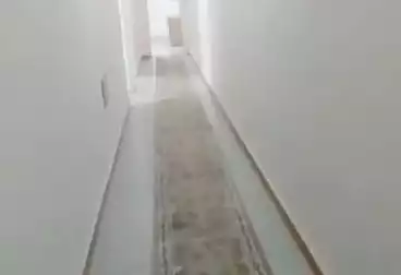 شقق للإيجار - 3 غرف - بالدور 8