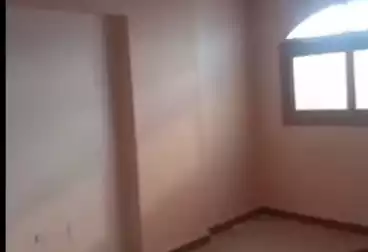 عقارات للإيجار - 3 غرف - بالدور 6