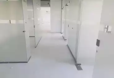 مكاتب للإيجار - 6 غرف - بالدور 1