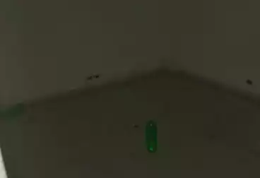 شقق للإيجار - 3 غرف - بالدور 1