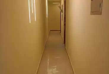 Properties For rent - 3 rooms - floor 8