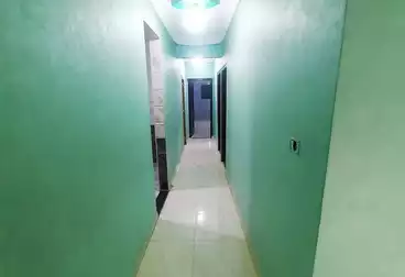 شقق للإيجار - 3 غرف - بالدور 7