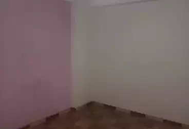 شقق للإيجار - 3 غرف - بالدور 7