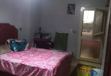 undefined undefined - 3 rooms - floor 1