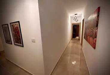 شقق للإيجار - 3 غرف - بالدور 1