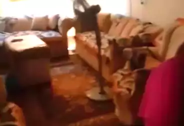 undefined undefined - 2 غرف - بالدور 6