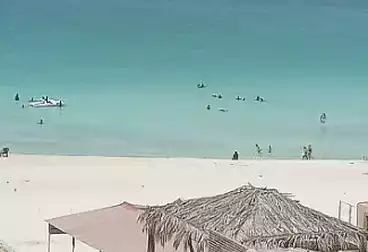 شقق للبيع - 2 غرف - بالدور 8