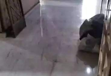 شقق للبيع - 3 غرف - بالدور 4