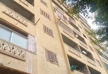 شقق للبيع - 2 غرف - بالدور 7