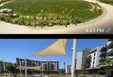 Apartments For rent - 2 rooms - floor 2