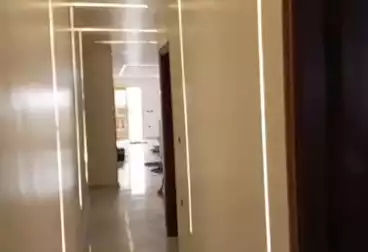 شقق للإيجار - 3 غرف - بالدور 13