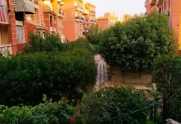 عقارات للإيجار - 2 غرف