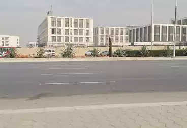 مكاتب للإيجار - 6 غرف - بالدور 0