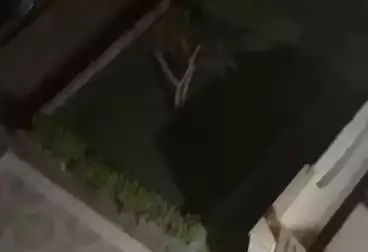 شقق للإيجار - 3 غرف - بالدور 3