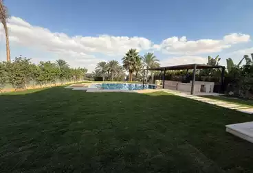 Properties For rent - 9 rooms